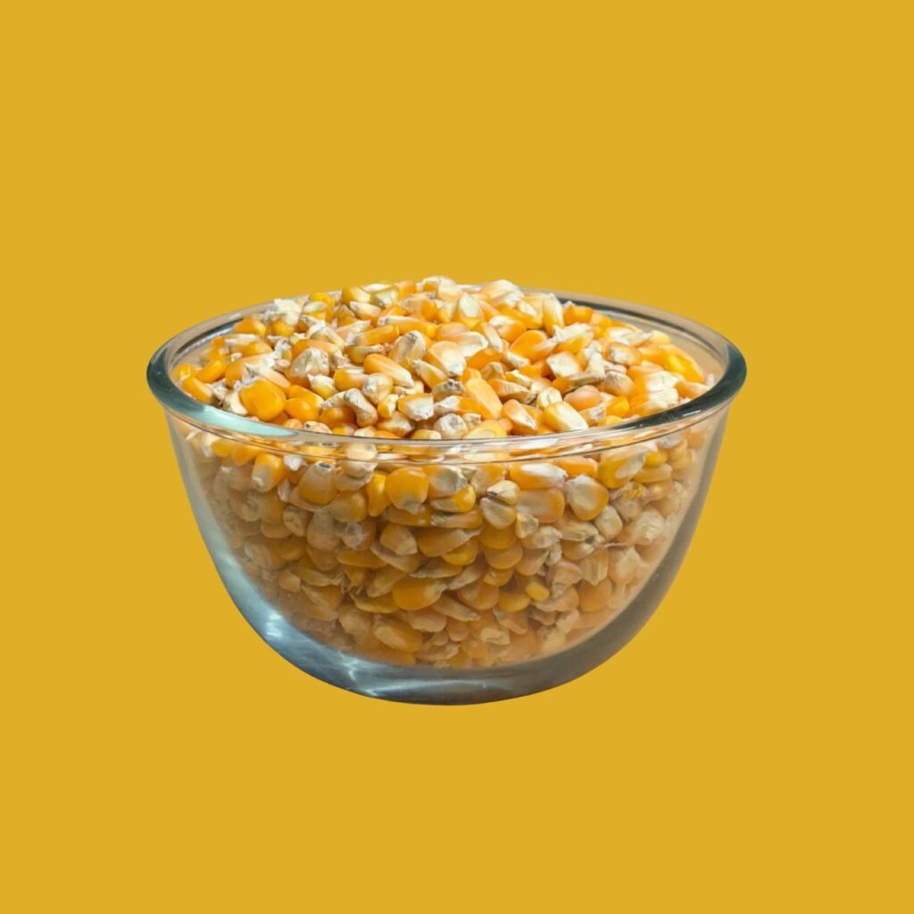 Corn Seeds