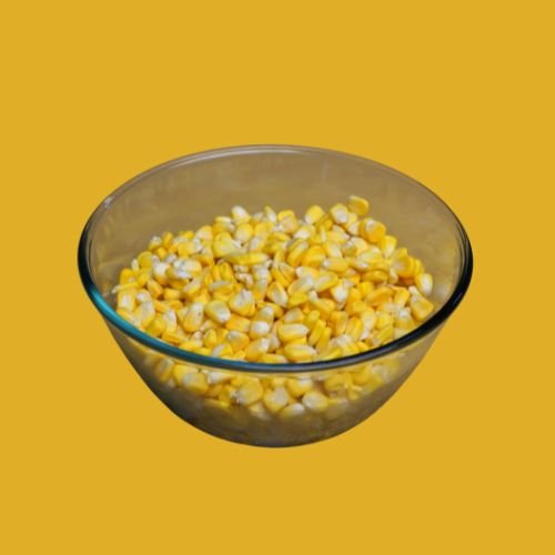 Corn Seed - Cornods